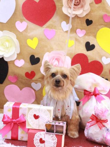 20230223ちゃあすけくん